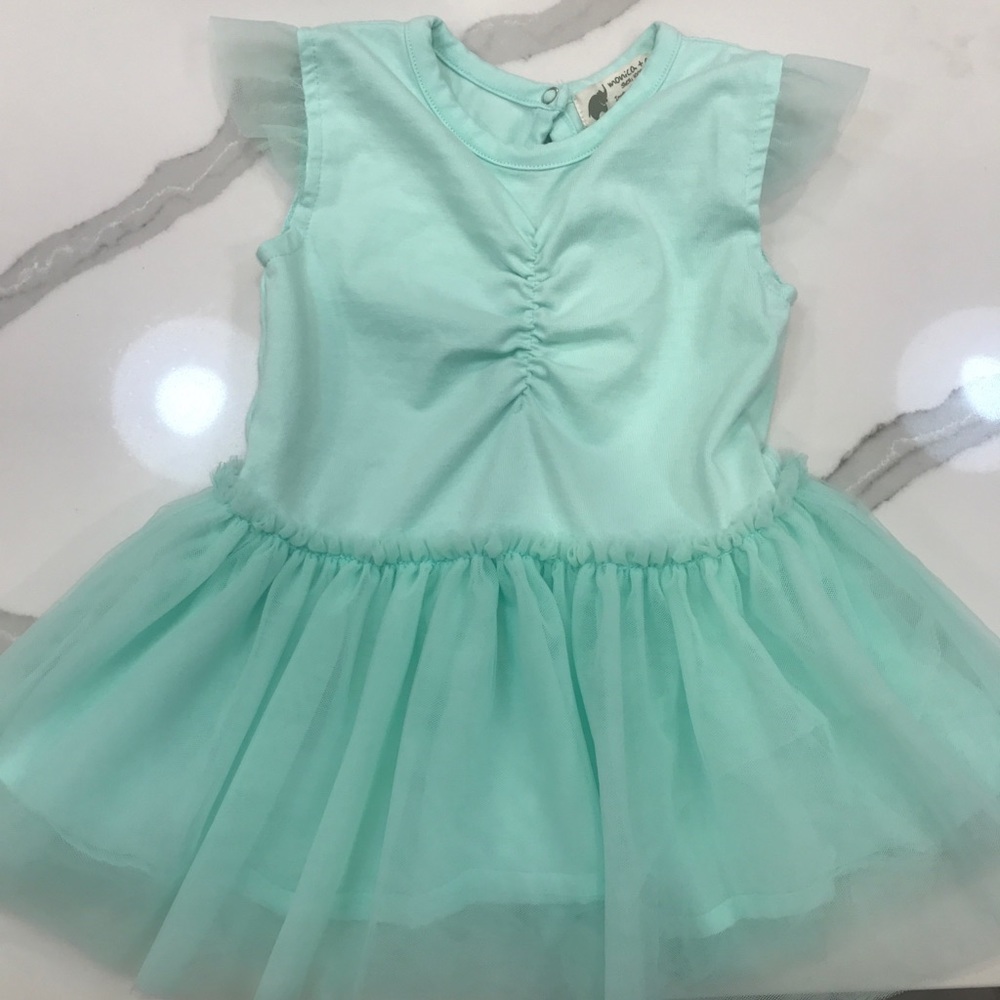 Monica and Andy Tule skirt dress